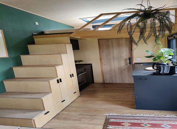 Unterkunft 260523 - Ferienhaus Het Friese platteland - Tiny House