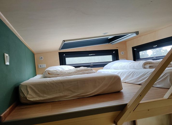 Unterkunft 260523 - Ferienhaus Het Friese platteland - Tiny House