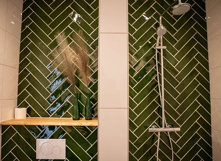 Verblijf 260605 - Vakantiewoning Het Friese platteland - Vakantiehuis in Blesdijke