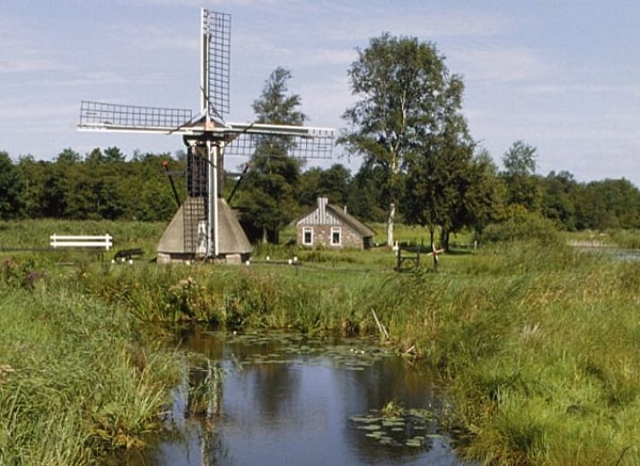 Guest house 260609 - Holiday property Het Friese platteland - Huisje in Blesdijke
