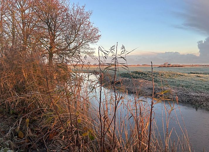 Vakantiehuis in Boer, Friesland, omgeven door groene weiden en schapen, biedt een rustiek verblijf op het Friese platteland.