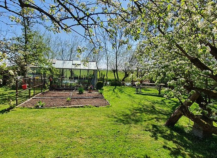 Ferienhaus in Easterein mit roter Scheune in der friesischen Landschaft in Friesland.