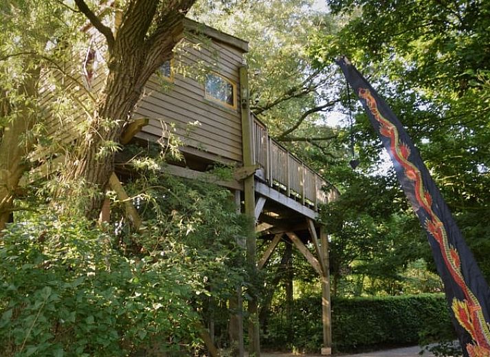 Ferienhaus in Easterein mit gruenem Garten und Gewaechshaus in der friesischen Landschaft in Friesland.