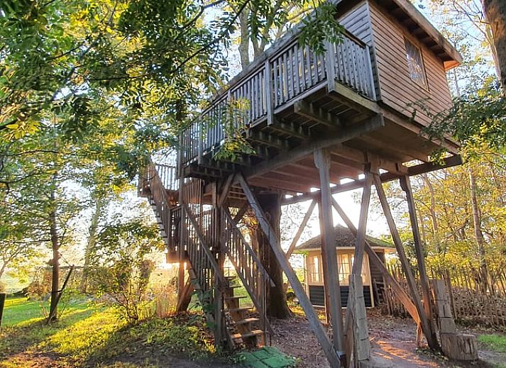 Ferienhaus in Easterein mit Baumhaus und Beschilderung in einem bewaldeten Gebiet in Friesland.