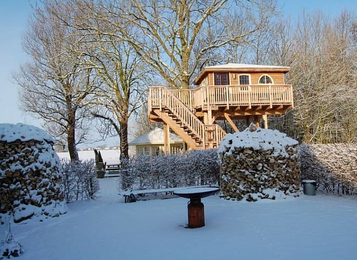 Ferienhaus in Easterein mit Baumhaus und Beschilderung in einem bewaldeten Gebiet in Friesland.