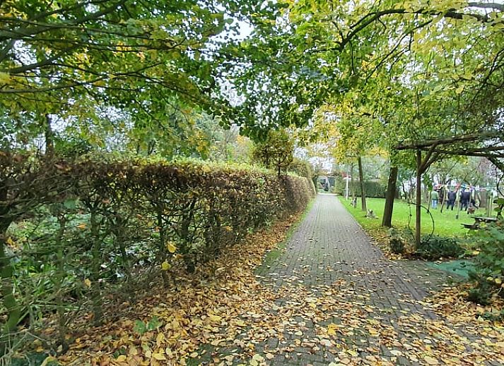 Ferienhaus in Easterein mit Baumhaus und Beschilderung in einem bewaldeten Gebiet in Friesland.