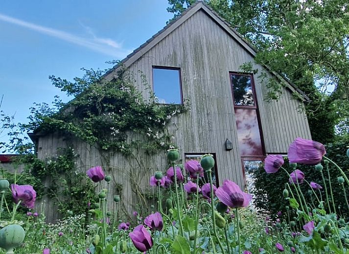 Guest house 2610512 - Holiday property Het Friese platteland - Huisje in Easterein