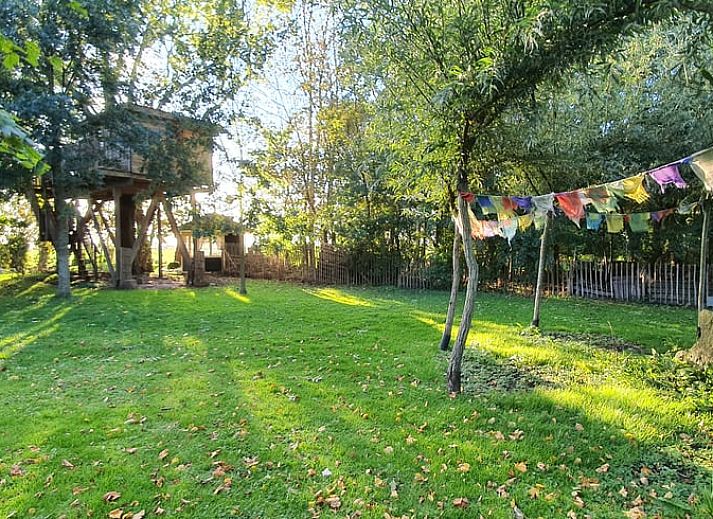 Guest house 2610512 - Holiday property Het Friese platteland - Huisje in Easterein