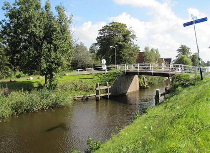 Huisje in Driezum, een charmant vakantiehuis op het Friese platteland van Friesland, omgeven door groene natuur.