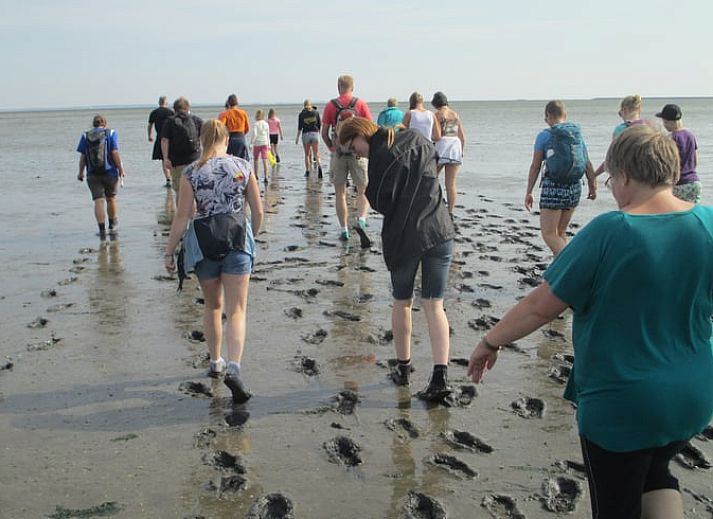 Huisje in Driezum, vakantiehuis in Friesland, verscholen tussen weelderig groen en rustieke charme.