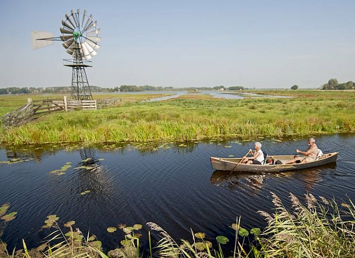 Huisje in Driezum, vakantiehuis in Friesland, verscholen tussen weelderig groen en rustieke charme.