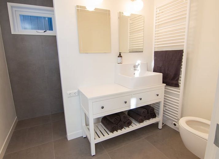 Cottage in Paesens, terrace in Friesland, ideal for outdoor breakfast and relaxation.