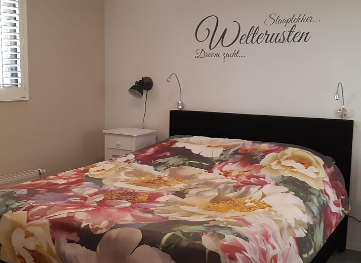 Guest house 2611412 - Chalet Het Friese platteland - Wol Thus