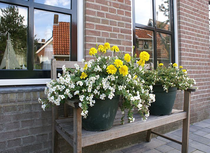 Guest house 2611413 - Holiday property Het Friese platteland - Wadden Geluk