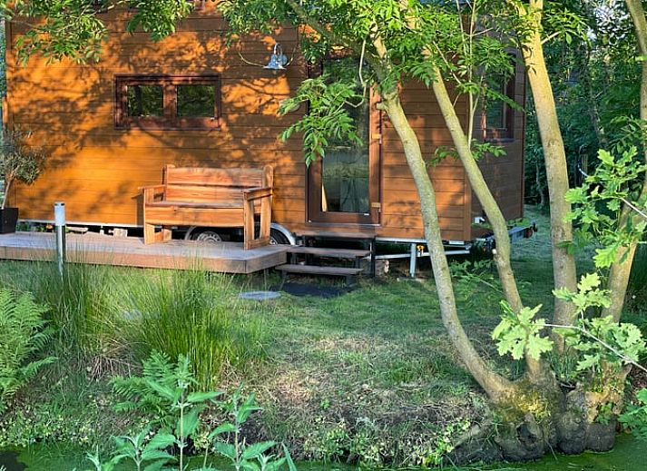 Unterkunft 2611502 - Ferienhaus Het Friese platteland - Vakantiehuisje in Surhuizum