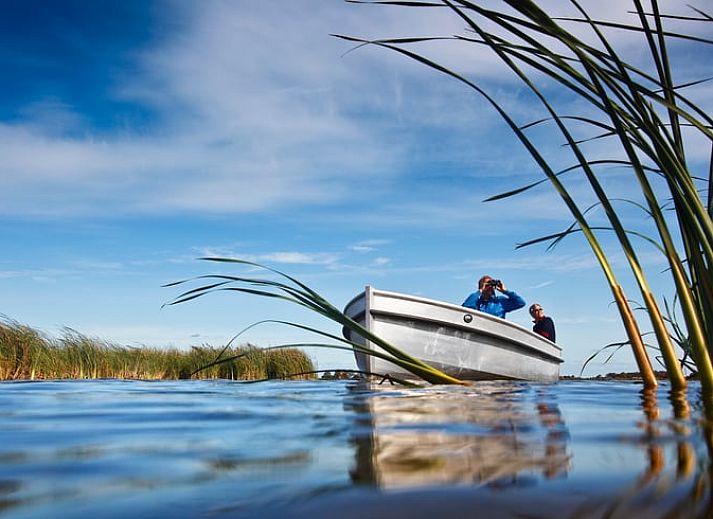 Prachtige zonsondergang bij Vakantiehuisje in Westhem, gelegen in het Friese platteland, Friesland.