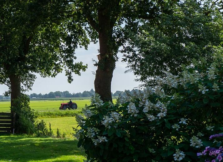 Huisje in Bantega, vakantiehuis op het Friese platteland met prachtig uitzicht op de natuur en groene omgeving in Friesland.