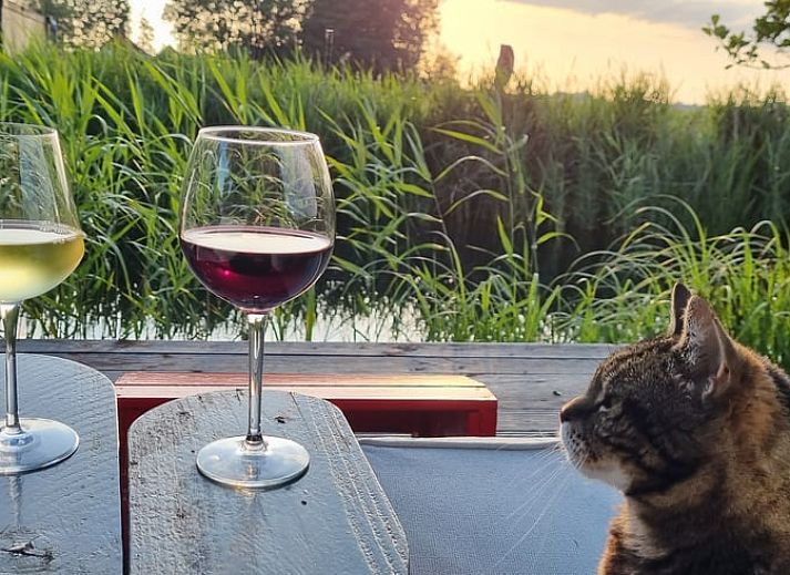 Vacation home in Bantega, Friesland with sunny garden and terrace, ideal for relaxation in the Frisian countryside.