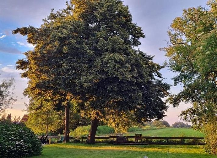 Enjoy wine on the terrace of Holiday Home in Bantega, Friesland, overlooking nature.