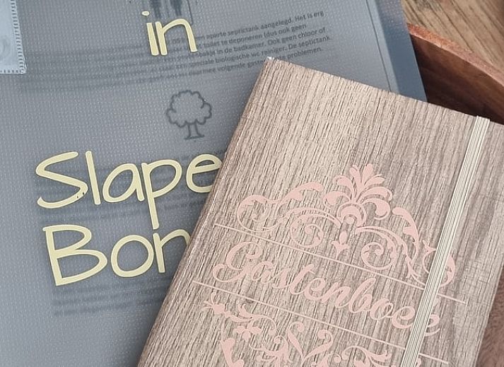 Storks in the fields around Holiday home in Bantega, Friesland, an idyllic spot in the Frisian countryside.