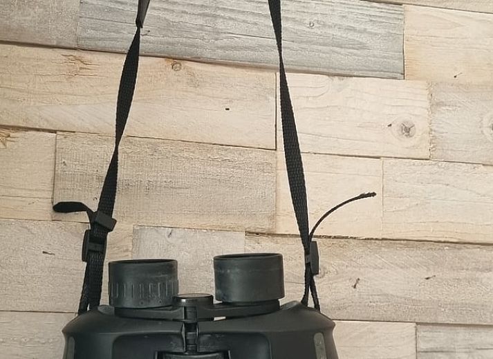 Storks in the fields around Holiday home in Bantega, Friesland, an idyllic spot in the Frisian countryside.