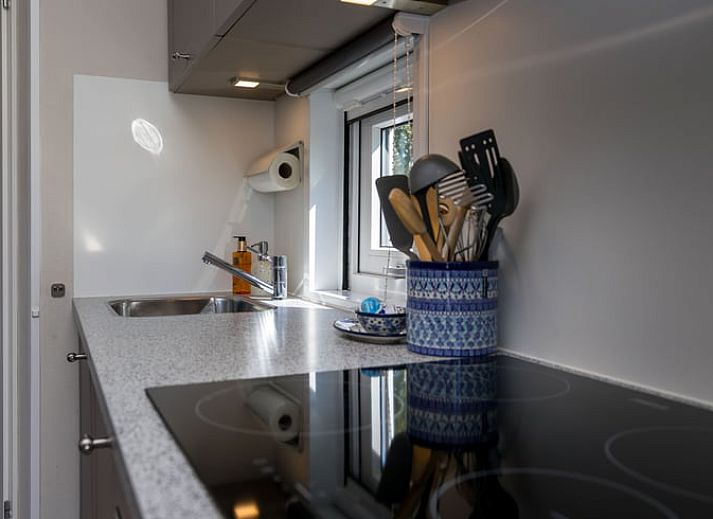 Terras van vakantiehuis Huisje in Greonterp met grazende koeien in Friesland.