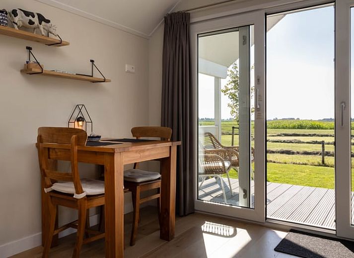 Terras van vakantiehuis Huisje in Greonterp met grazende koeien in Friesland.