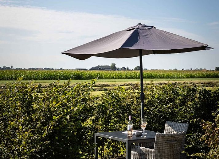 Gezellige woonkamer in Huisje in Greonterp met koeienmuurschildering in Friesland.