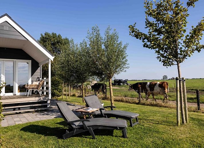 Veranda van Huisje in Greonterp met uitzicht op het Friese platteland, Friesland.