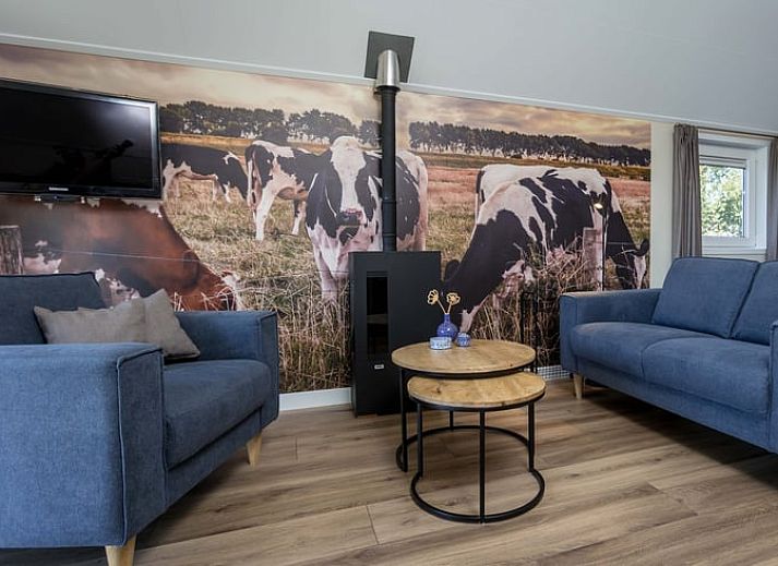 Tuin van Huisje in Greonterp met ligstoelen en grazende koeien, Friesland.