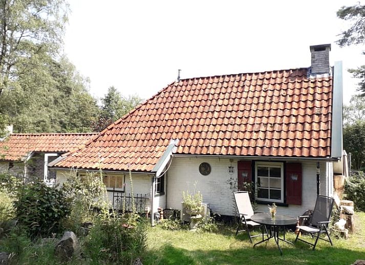 Unterkunft 2612603 • Ferienhaus Het Friese platteland • Vakantiehuis in Oldeholtpade