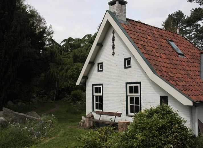 Guest house 2612603 - Holiday property Het Friese platteland - Vakantiehuis in Oldeholtpade