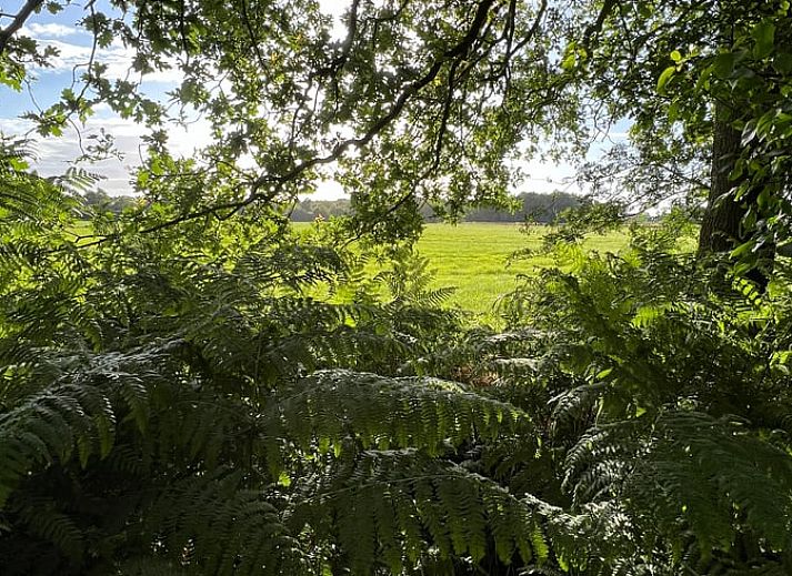 Cozy porch at cottage in Oldeholtpade in the Frisian countryside surrounded by greenery in Friesland.
