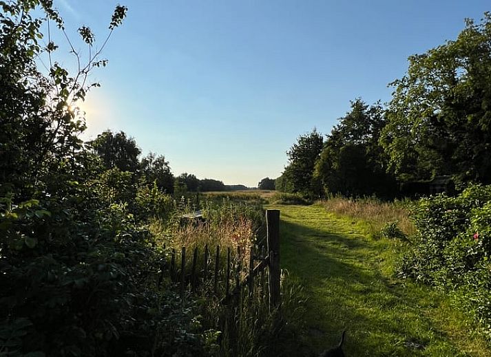 Cozy porch at cottage in Oldeholtpade in the Frisian countryside surrounded by greenery in Friesland.