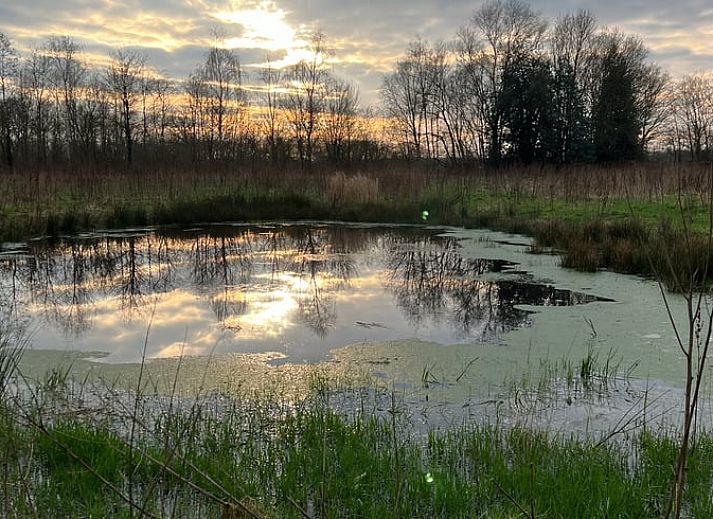 Cozy porch at cottage in Oldeholtpade in the Frisian countryside surrounded by greenery in Friesland.