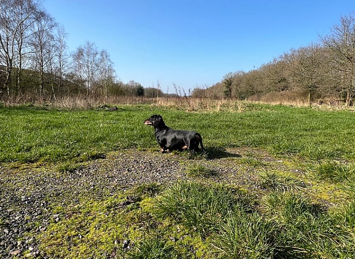 Beautiful views of nature around Holiday cottage in Oldeholtpade, located in the Frisian countryside in Friesland.