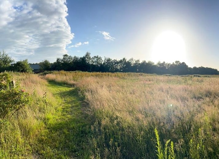 Beautiful views of nature around Holiday cottage in Oldeholtpade, located in the Frisian countryside in Friesland.