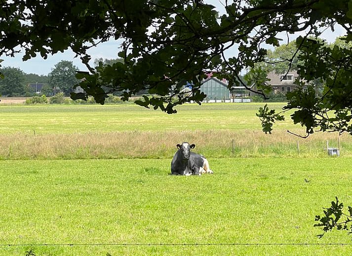 Rustic hiking trail next to Holiday home in Oldeholtpade, ideal for nature lovers in the Frisian countryside in Friesland.