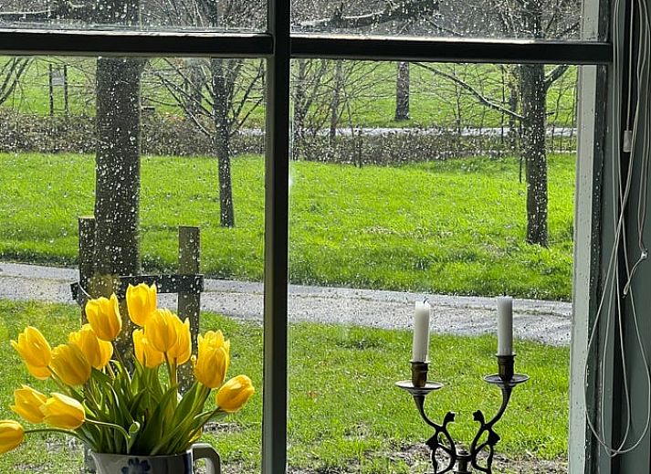 Cozy wood stocked cottage in Oldeholtpade, perfect for a warm stay in the Frisian countryside in Friesland.