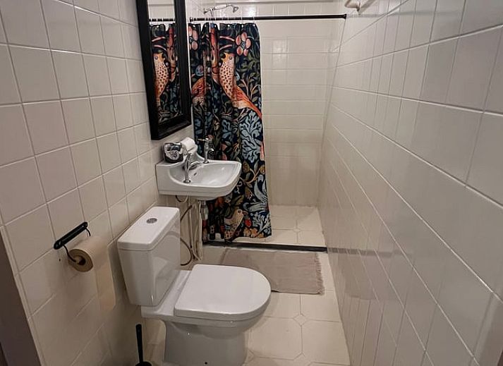 Cute dachshund in the garden of Holiday Home in Oldeholtpade, a dog-friendly location in the Frisian countryside in Friesland.