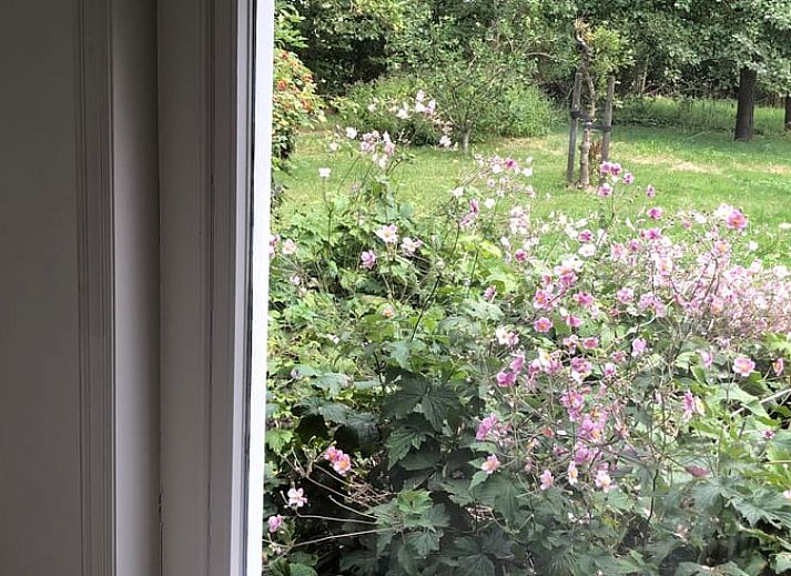 Guest house 2613003 - Holiday property Het Friese platteland - Huisje in Wijnaldum