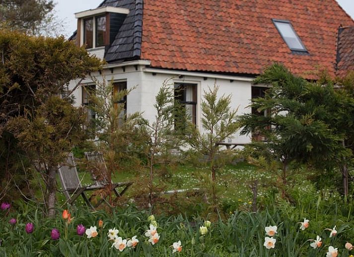 Unterkunft 2613006 - Ferienhaus Het Friese platteland - Huisje in Winaam