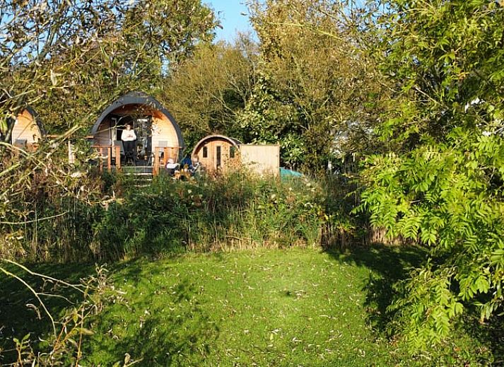 Unterkunft 2613103 • Ferienhaus Het Friese platteland • Vakantiehuisje in Oostrum/Dokkum