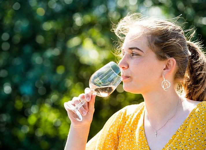 Unterkunft 2613103 - Ferienhaus Het Friese platteland - Vakantiehuisje in Oostrum/Dokkum