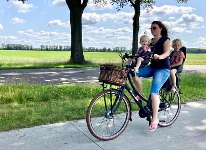 Unterkunft 2613103 - Ferienhaus Het Friese platteland - Vakantiehuisje in Oostrum/Dokkum