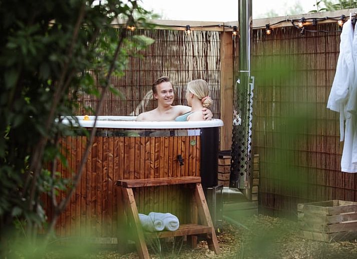 Unterkunft 2613106 - Ferienhaus Het Friese platteland - Vakantiehuisje in Oostrum/Dokkum