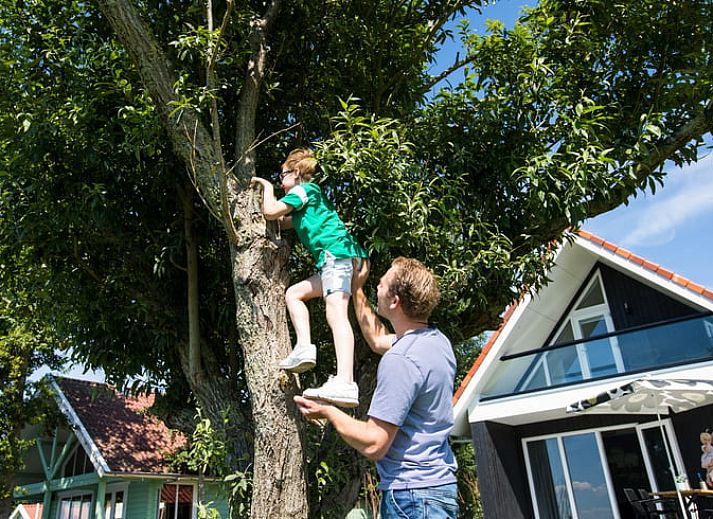 Unterkunft 2613113 - Ferienhaus Het Friese platteland - Vakantiehuisje in Dokkum/oostrum