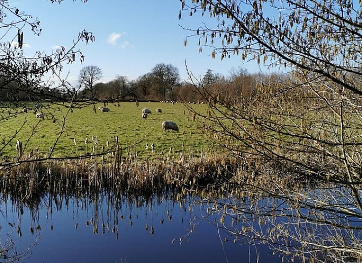 Comfortabele slaapkamer in Huisje in Kootstertille, vakantiehuis in Friesland, met luxe beddengoed en warme sfeer.