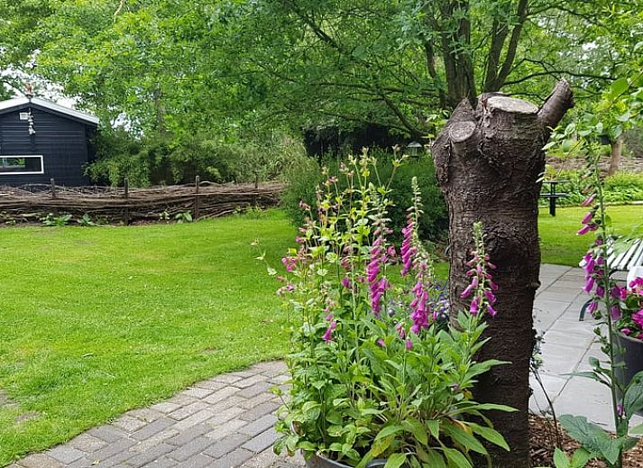 Charmantes Ferienhaus in Kootstertille mit Terrasse, mitten in der Natur in Friesland gelegen.