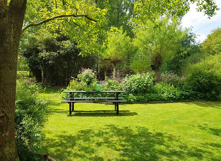 Charmantes Ferienhaus in Kootstertille mit Terrasse, mitten in der Natur in Friesland gelegen.